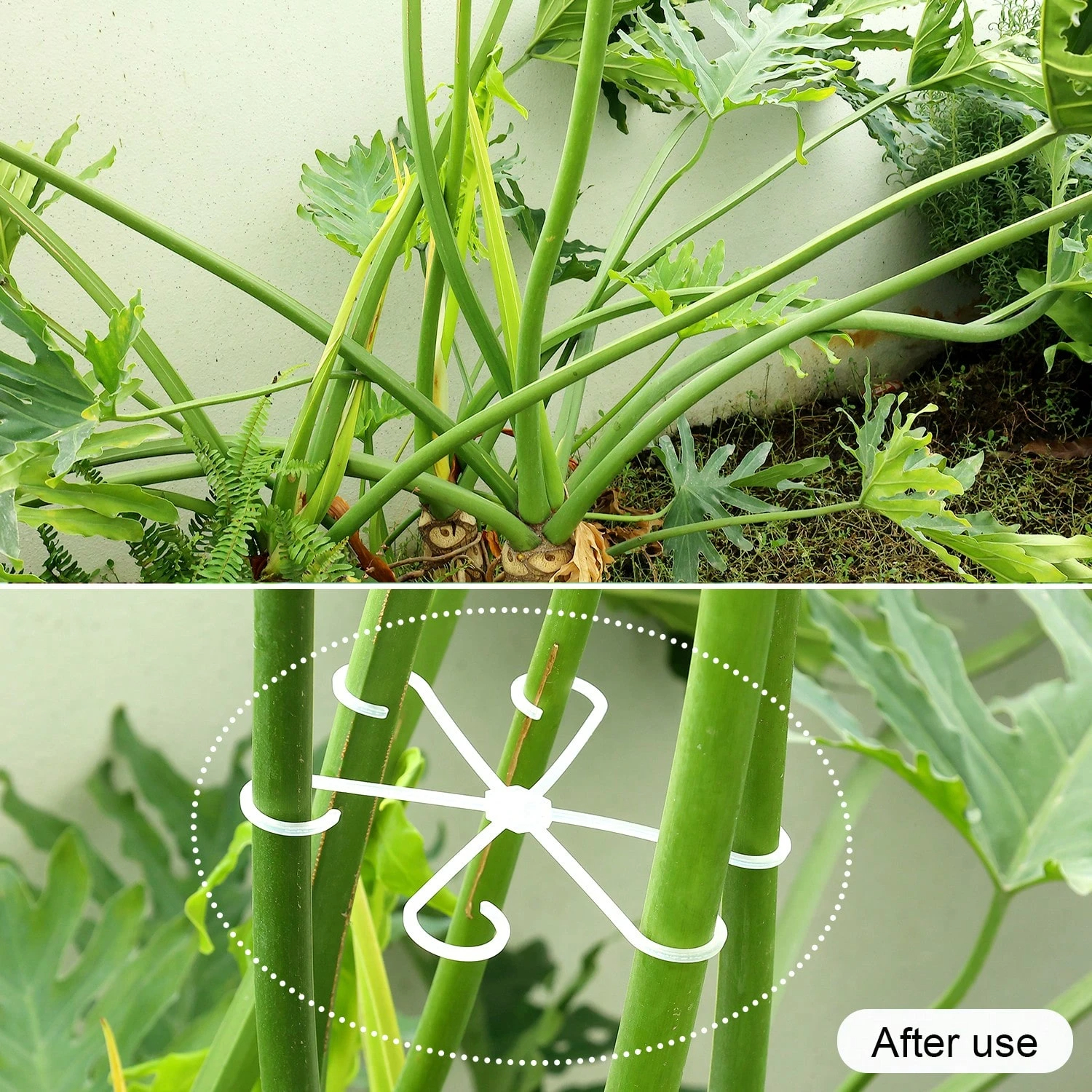 1Pc Plastic Plant Support Clip - Vine Climbing Plastic recensie en prijs