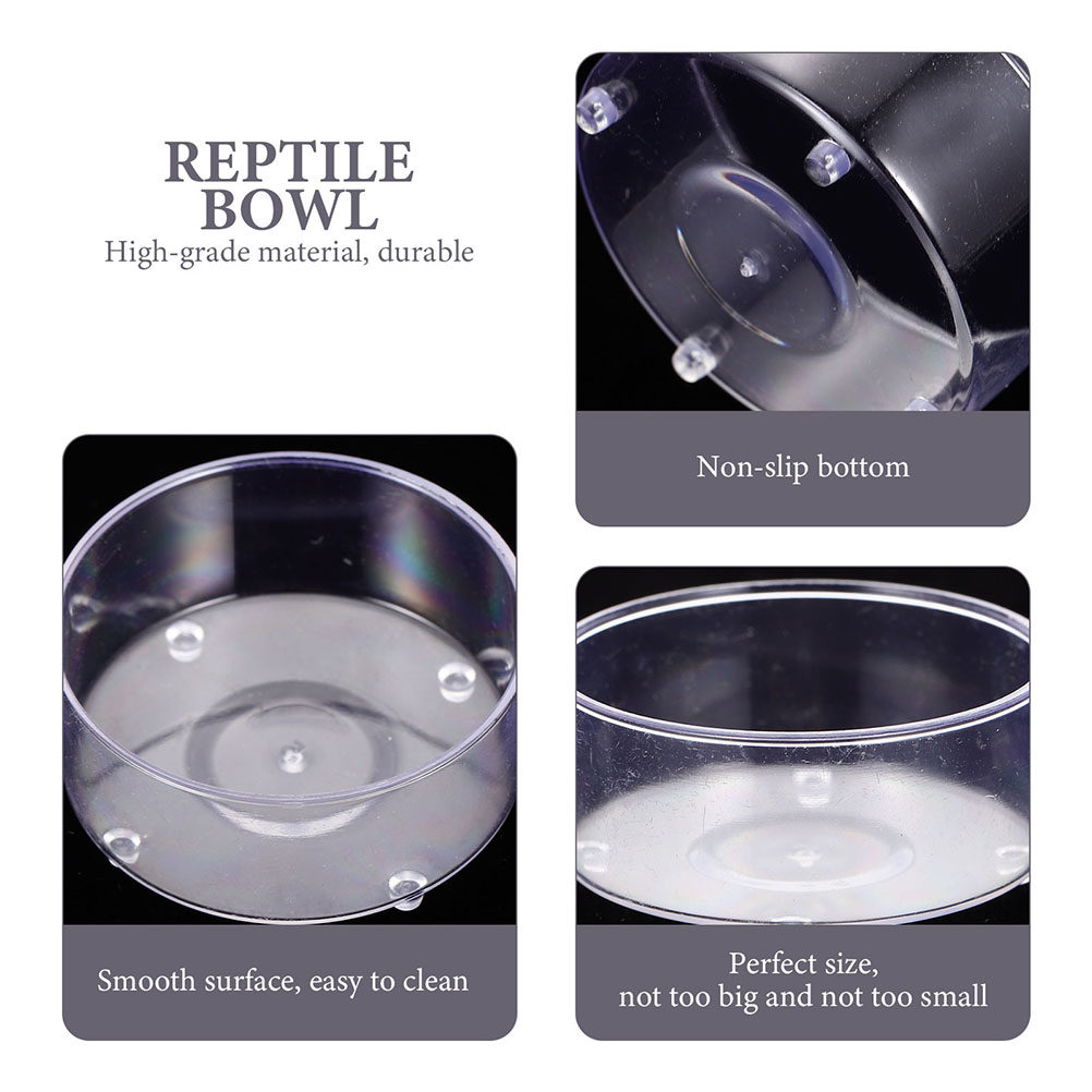 10Pcs Acrylic Reptile Food Wat - Water Dish Reptile recensie en prijs