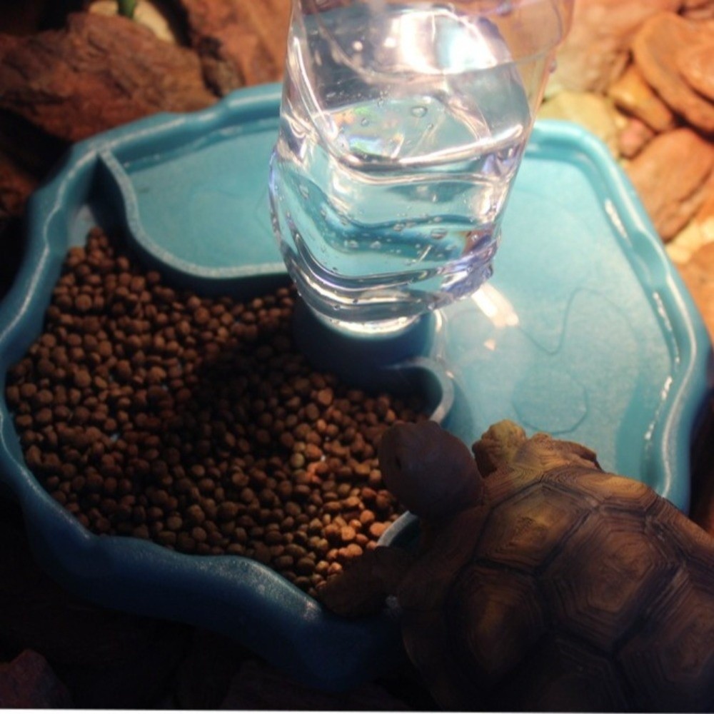 New Removable Reptile Feeder E - Water Dish Reptile recensie en prijs