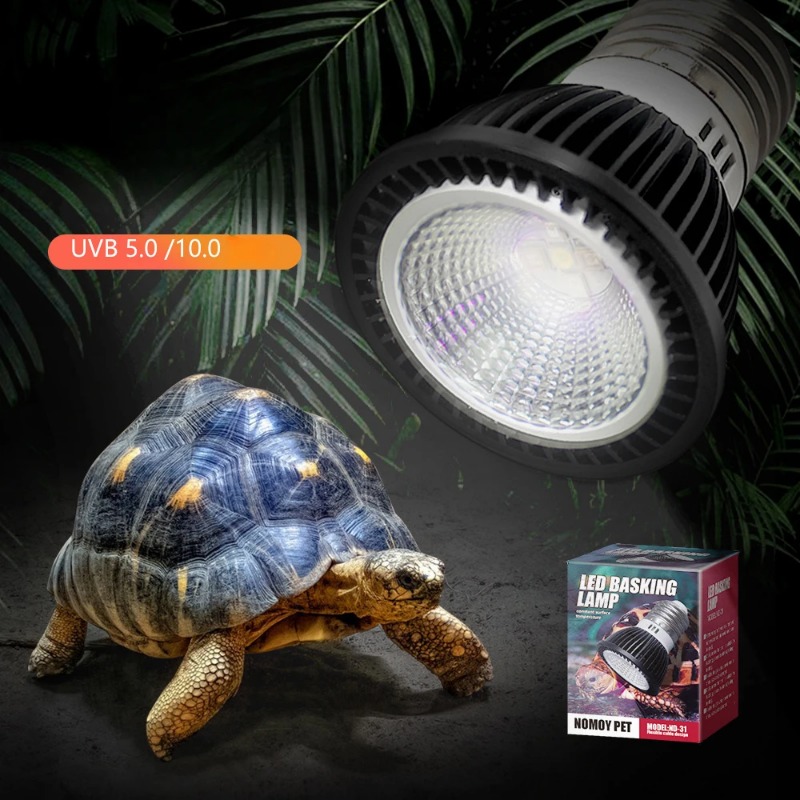 NOMOY Reptile 110/220V UVB+UVA - Calcium Powder Reptile recensie en prijs
