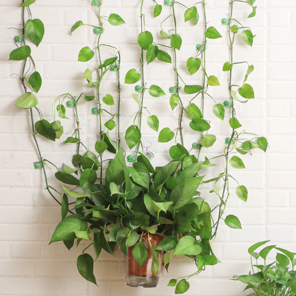 20Pcs Plant Climbing Wall Clip - Vine Climbing Plastic recensie en prijs