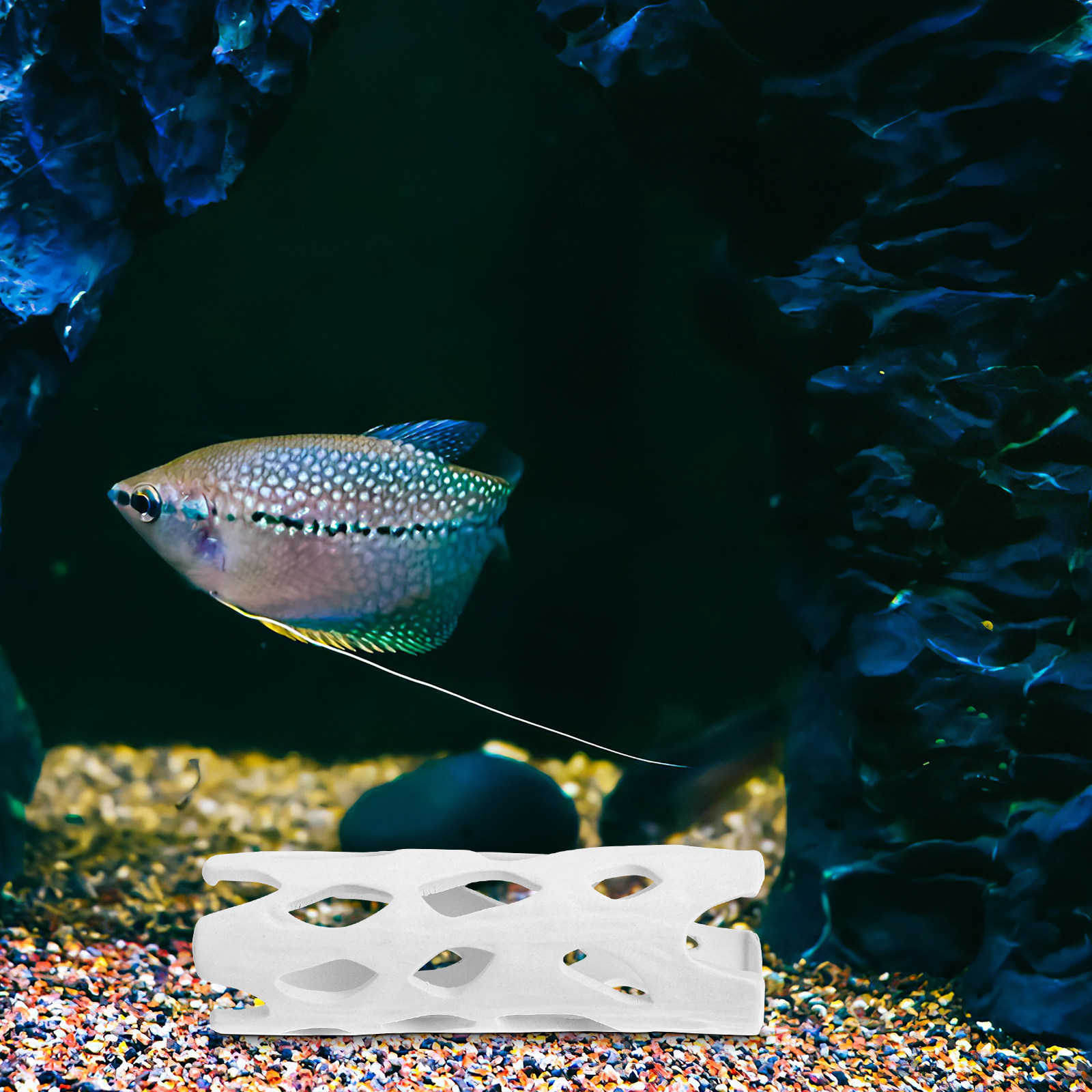Ceramic Aquarium Decor Shrimp  - Hide Cave Ceramic recensie en prijs