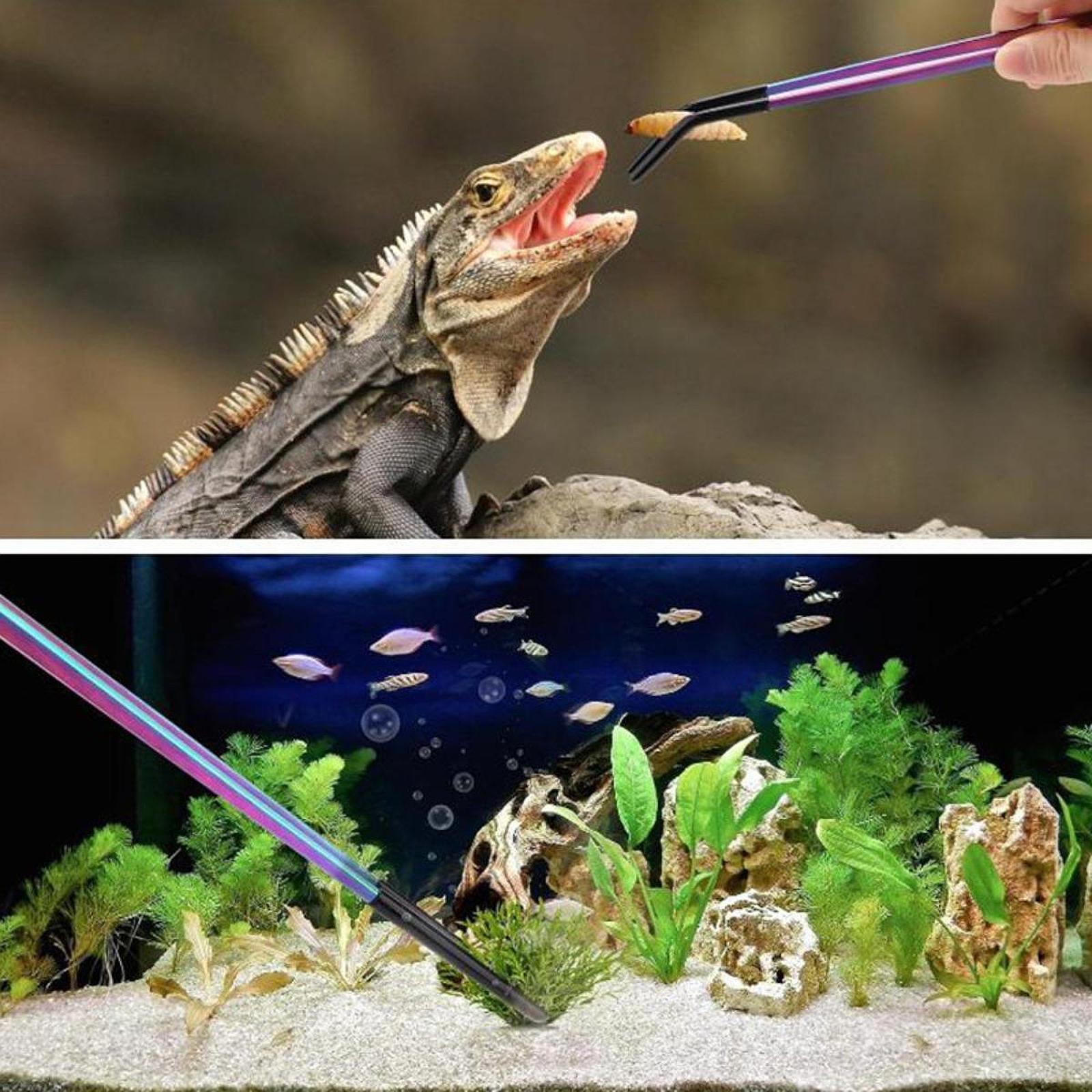 Aquarium Tweezers Reptile Feed - Feeding Tong Stainless recensie en prijs