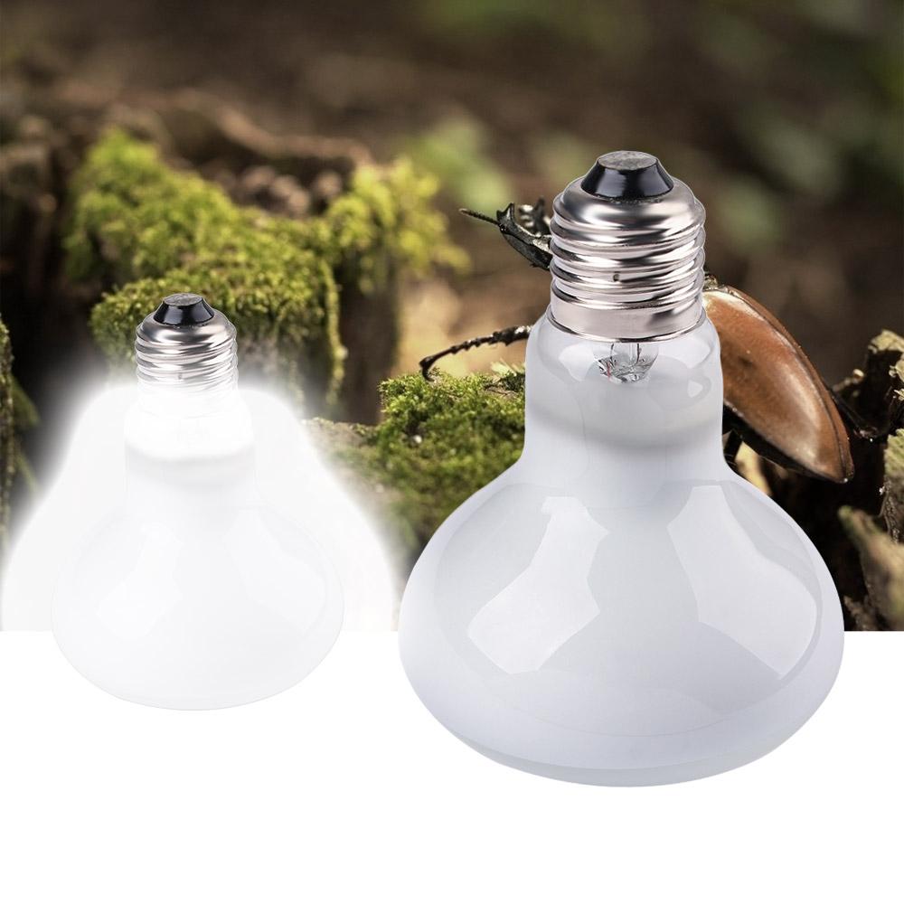 Turtle Heater Heat Lamp Reptil - Basking Bulb Halogen recensie en prijs