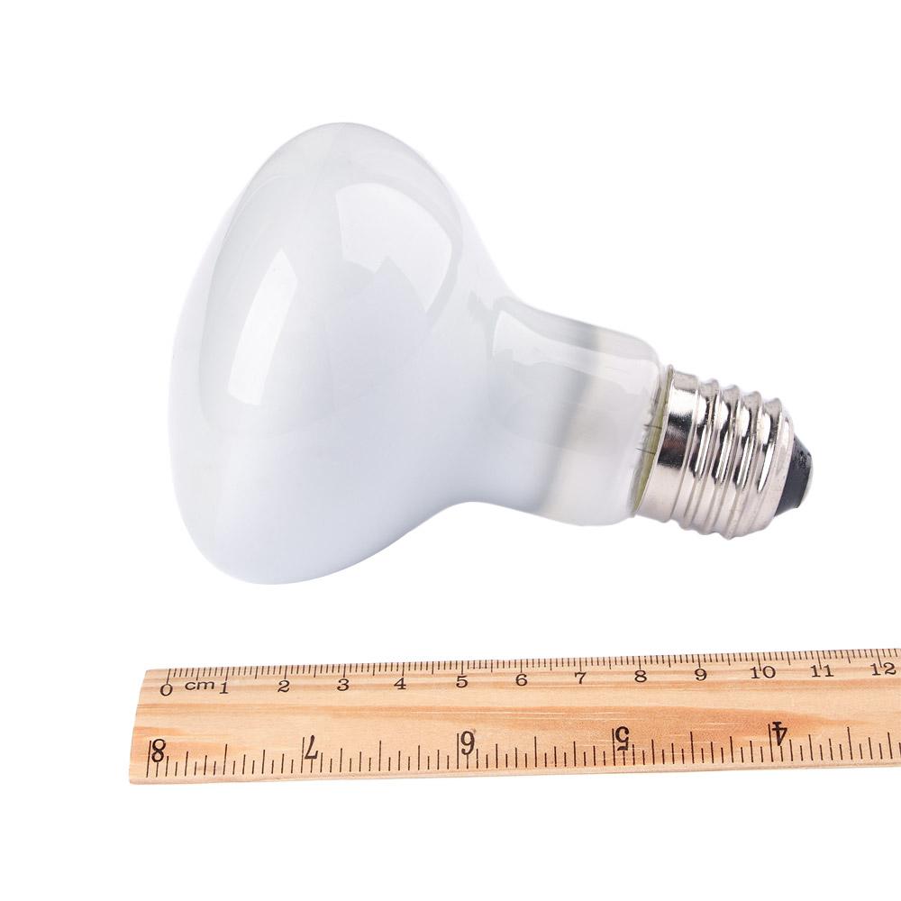 Turtle Heater Temperature Cont - Basking Bulb Halogen recensie en prijs