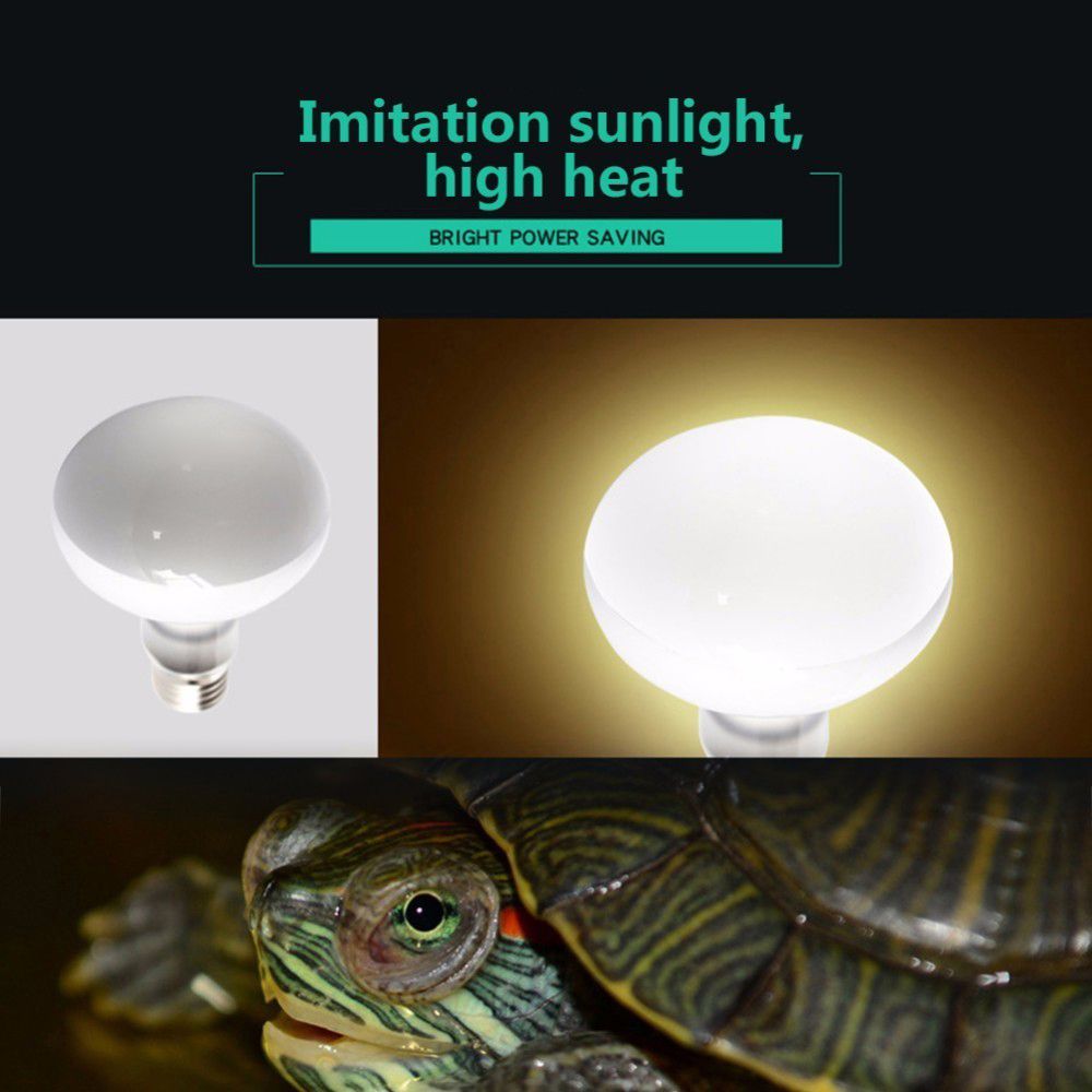 Turtle Heater Temperature Cont - Basking Bulb Halogen recensie en prijs