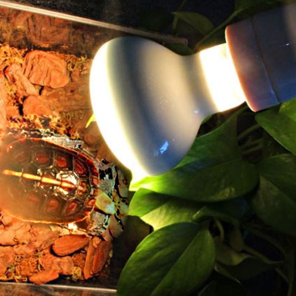 Turtle Heater Temperature Cont - Basking Bulb Halogen recensie en prijs