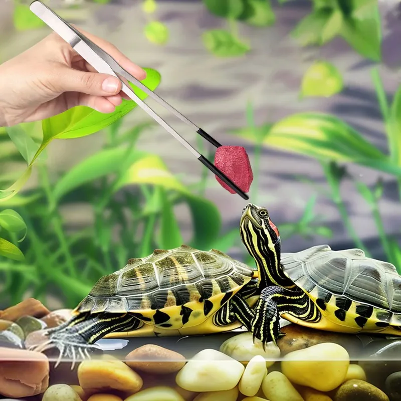 2Pcs Stainless Steel Tweezers  - Water Dish Reptile recensie en prijs