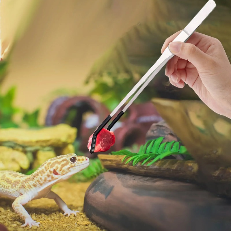 2Pcs Stainless Steel Tweezers  - Water Dish Reptile recensie en prijs