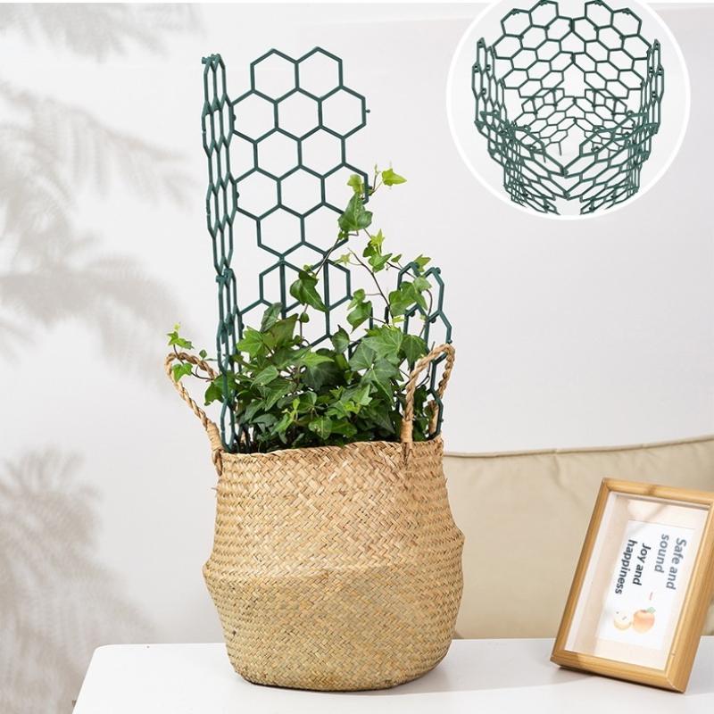 1/5Pcs Honeycomb Design Plant  - Vine Climbing Plastic recensie en prijs