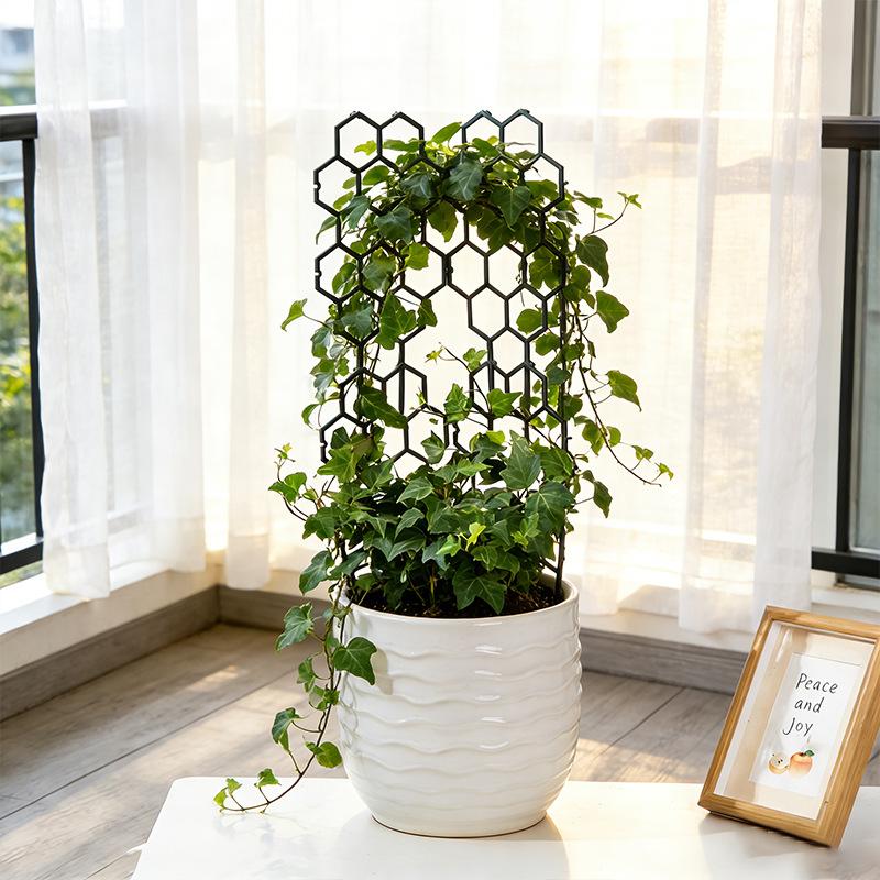 1/5Pcs Honeycomb Design Plant  - Vine Climbing Plastic recensie en prijs
