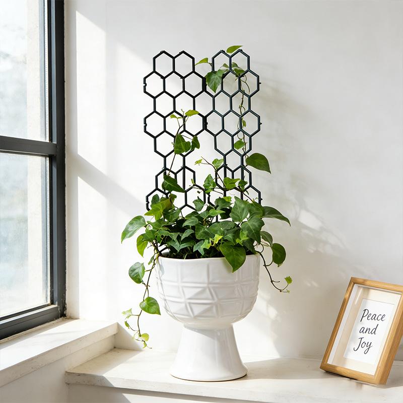 1/5Pcs Honeycomb Design Plant  - Vine Climbing Plastic recensie en prijs