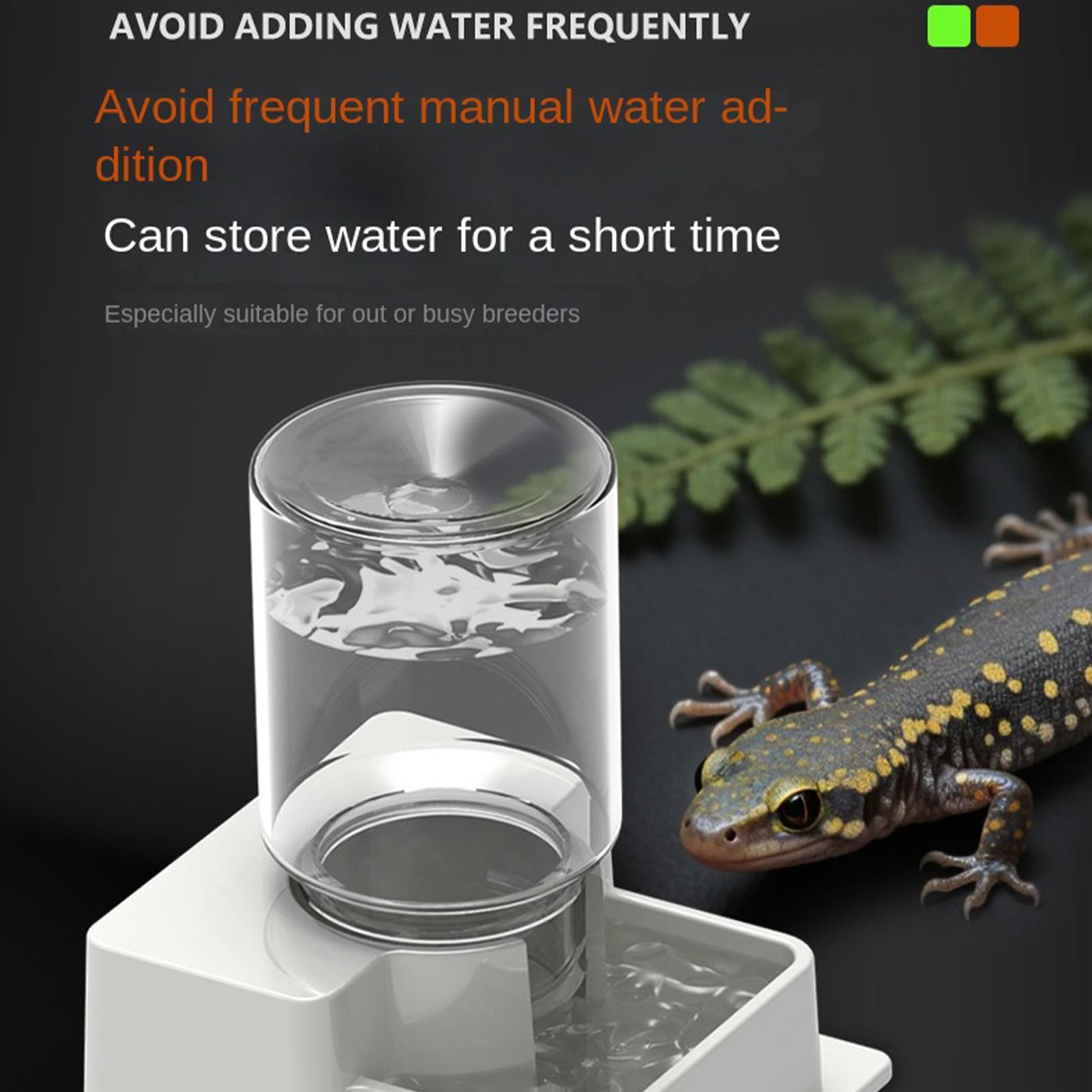 Bearded Dragon Water Fountain  - Water Dish Reptile recensie en prijs