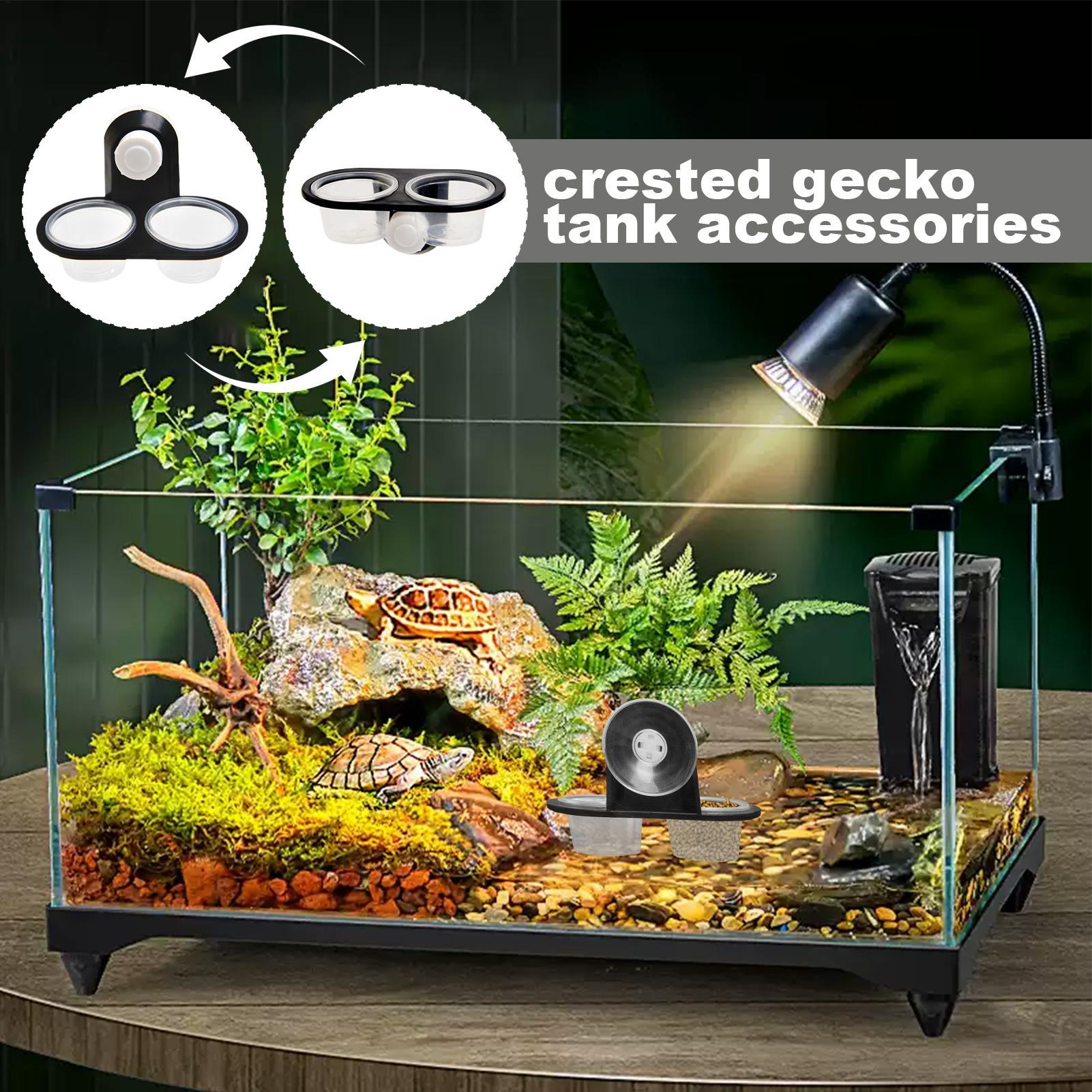 Gecko Feeder Ledge with Detach - Water Dish Reptile recensie en prijs