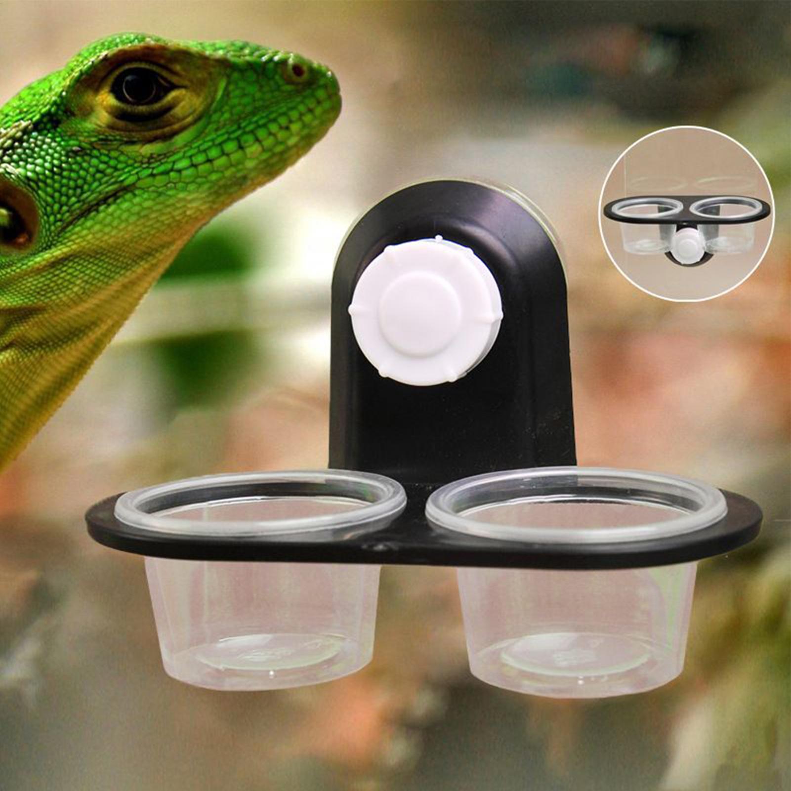Gecko Feeder Ledge with Detach - Water Dish Reptile recensie en prijs