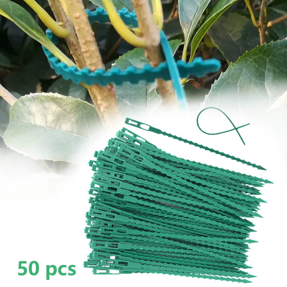 50Pcs Reusable Adjustable Plas - Vine Climbing Plastic recensie en prijs