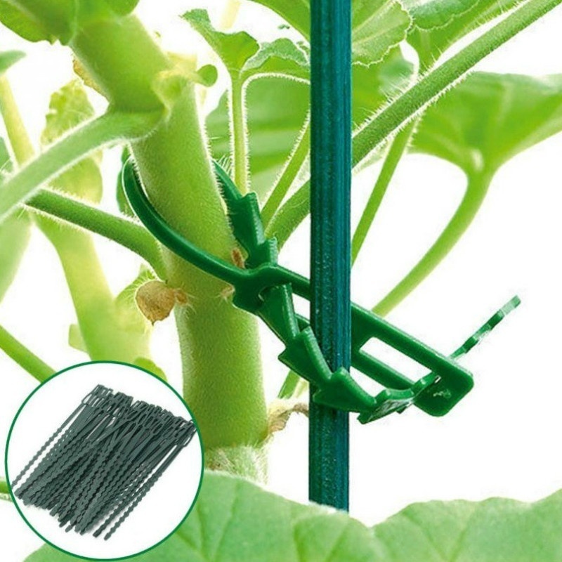 50Pcs Reusable Adjustable Plas - Vine Climbing Plastic recensie en prijs