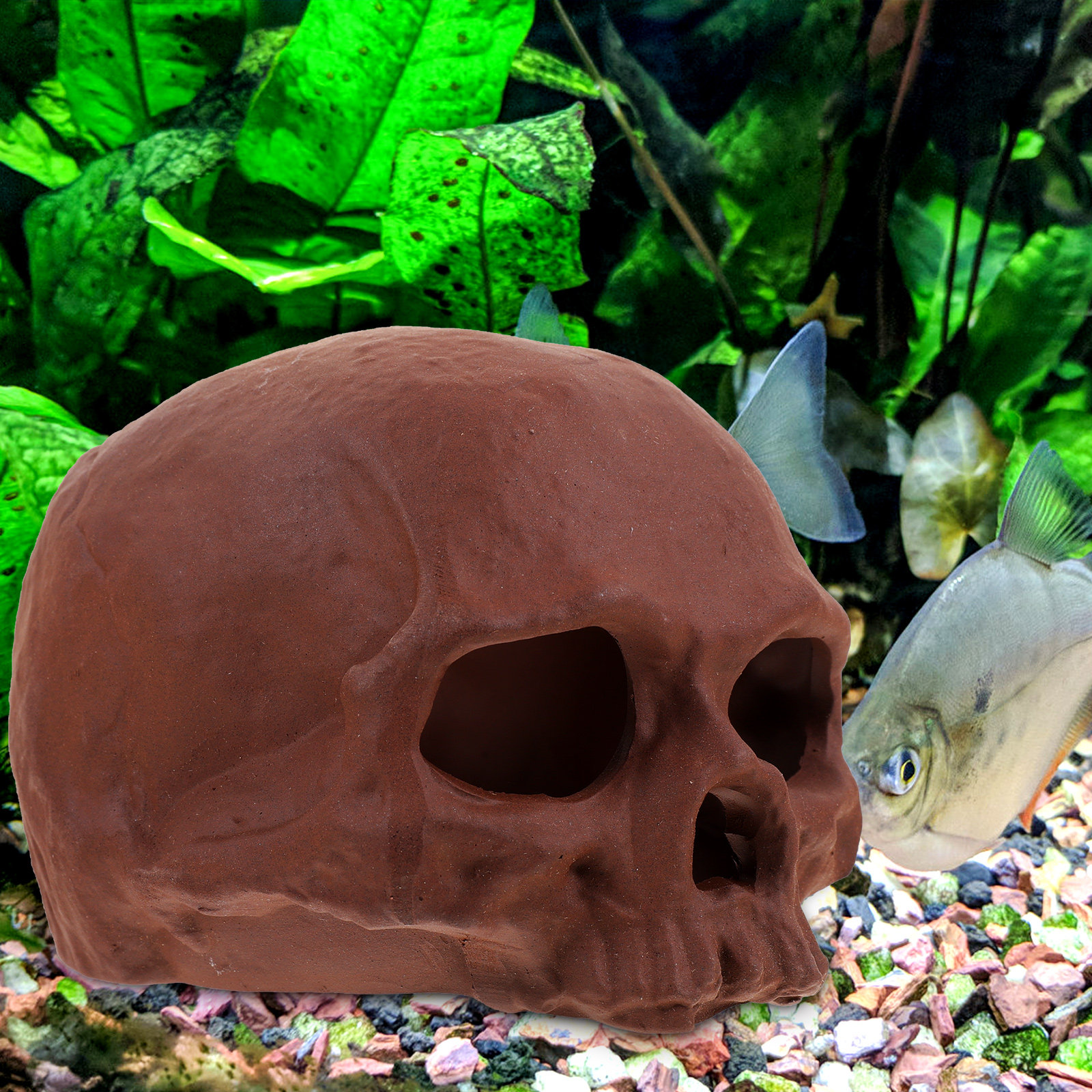 Ceramic Fish Tank Decoration S - Hide Cave Ceramic recensie en prijs