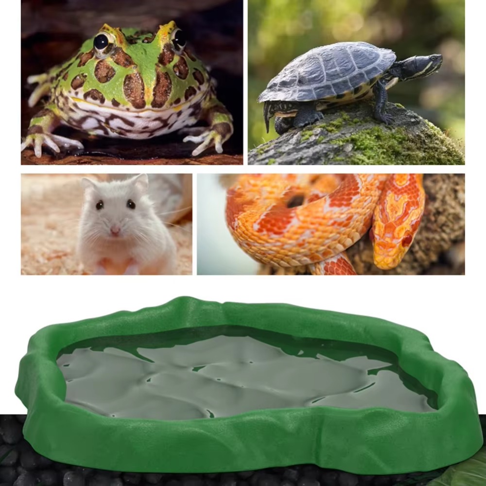 ABS Resin Reptile Feeder Bowl  - Water Dish Reptile recensie en prijs