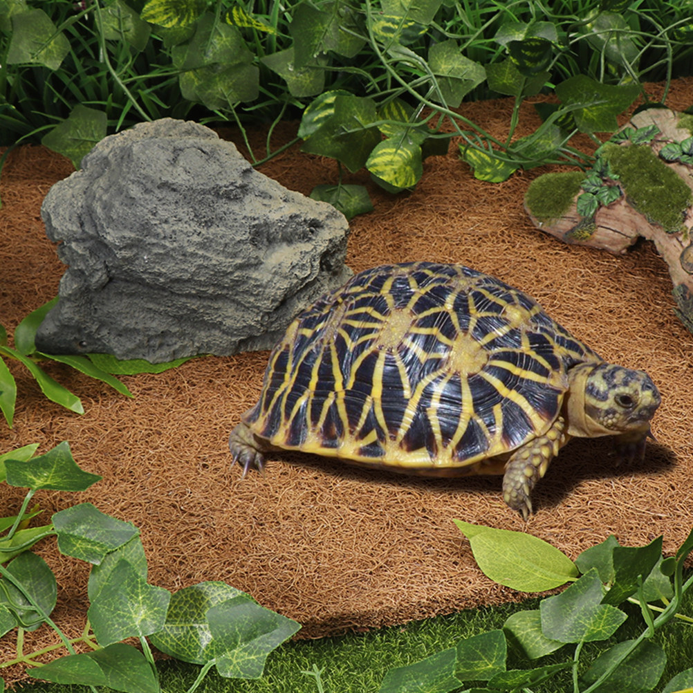 Natural Coconut Fiber Reptile  - Substrate Coconut Fiber recensie en prijs
