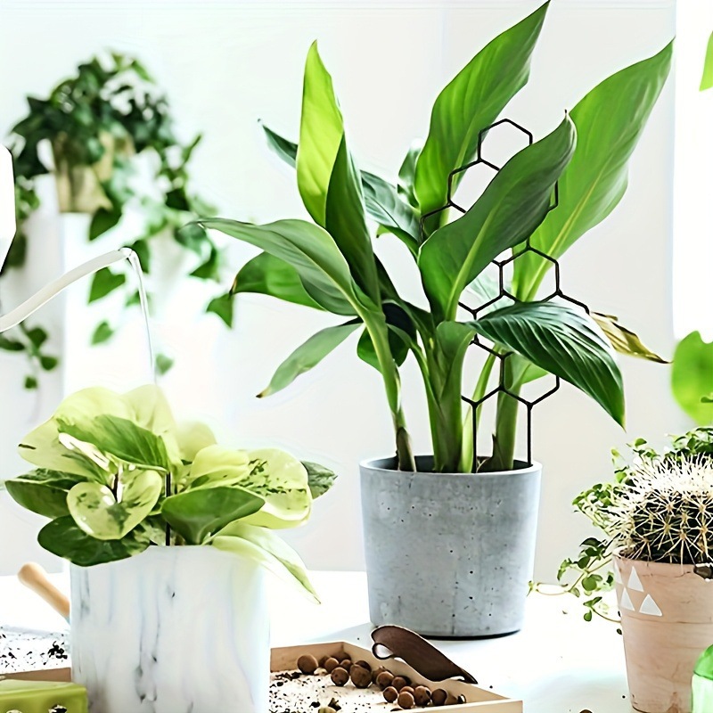 1PC Honeycomb Design Plant Tre - Vine Climbing Plastic recensie en prijs