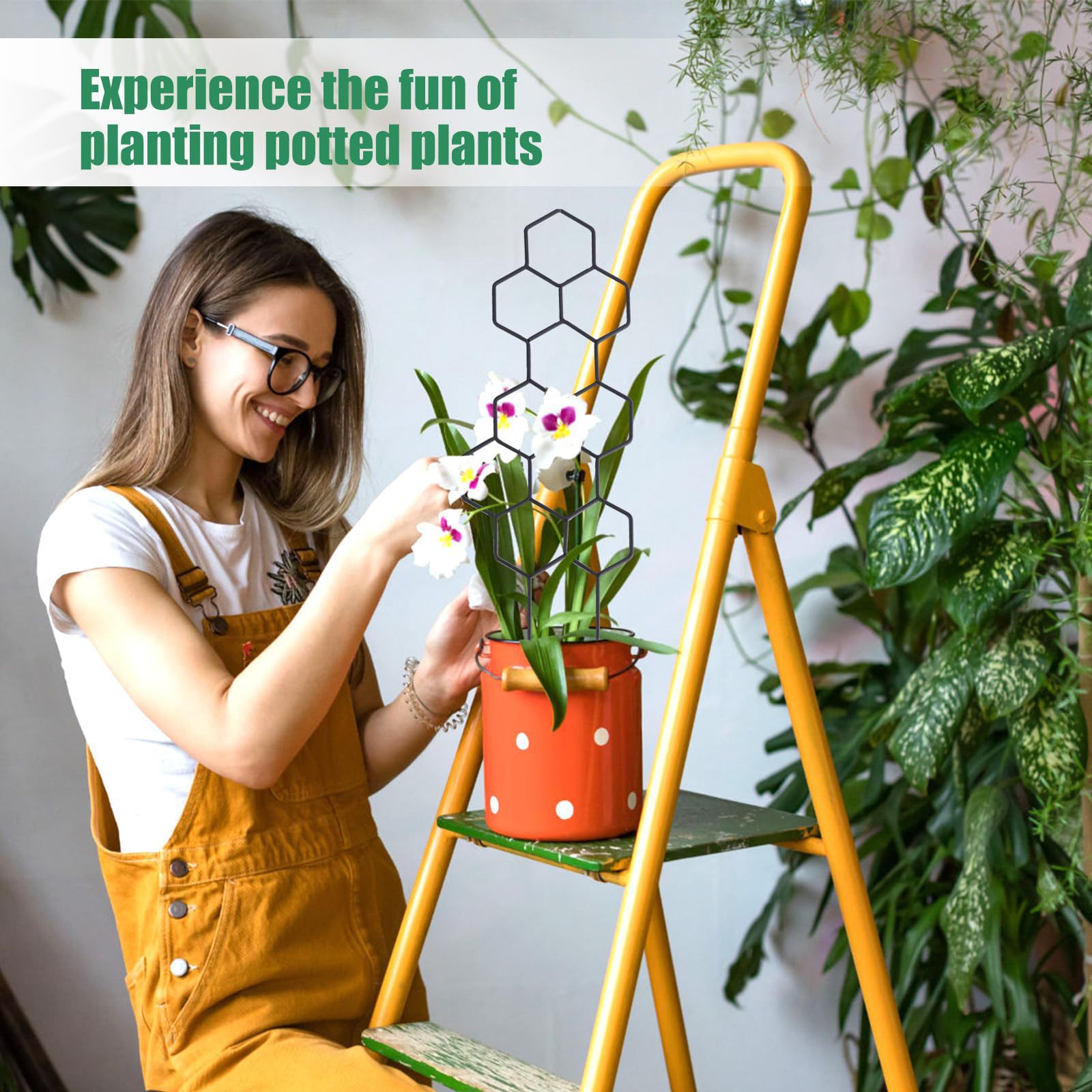 1PC Honeycomb Design Plant Tre - Vine Climbing Plastic recensie en prijs