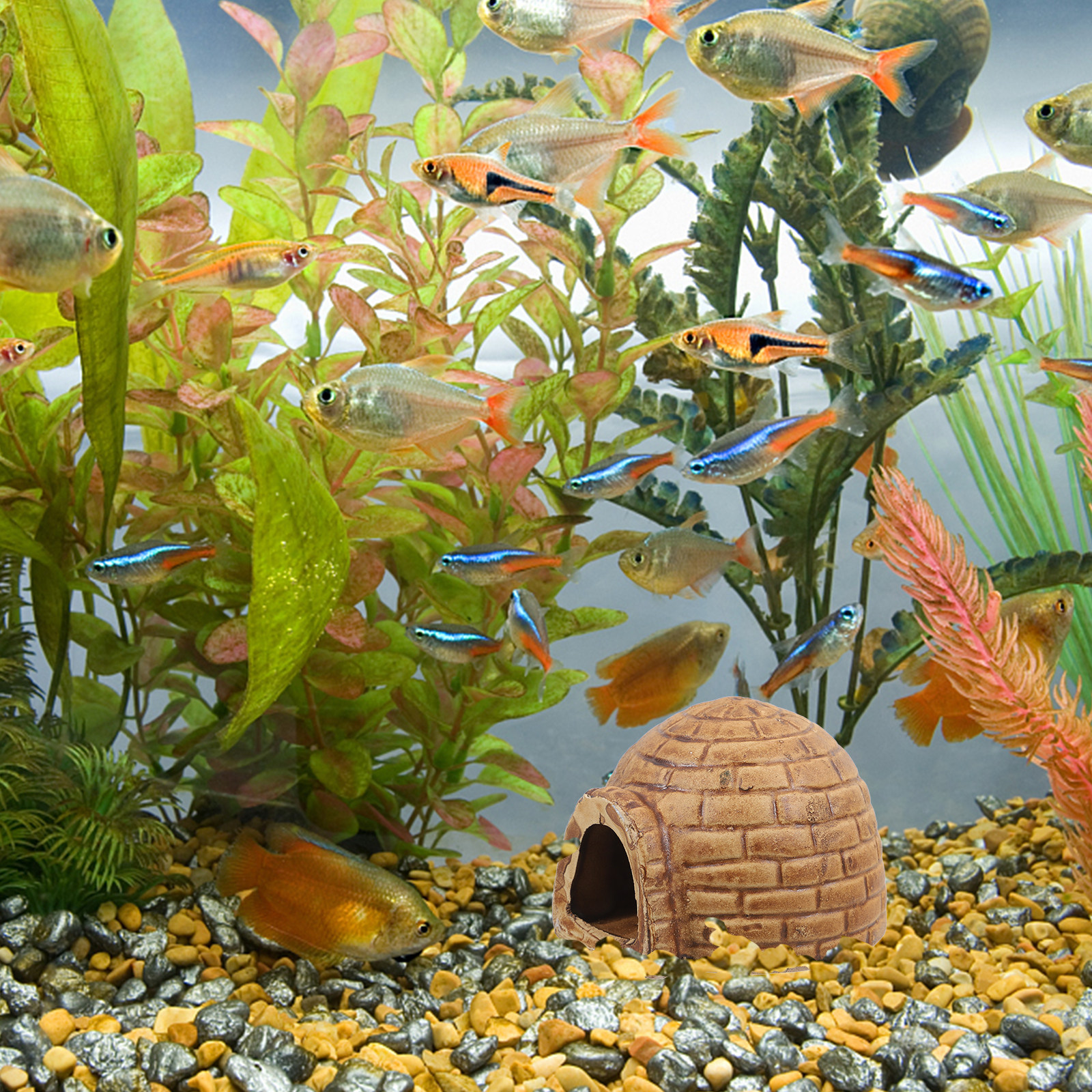 Ceramic Pleco Caves for Aquari - Hide Cave Ceramic recensie en prijs