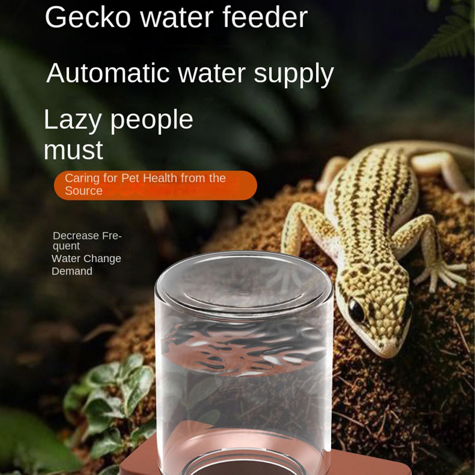 1pc Automatic Reptile Feeder A - Water Dish Reptile recensie en prijs